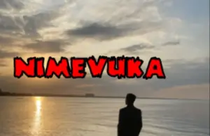 Toxic Fuvu – Nimevuka