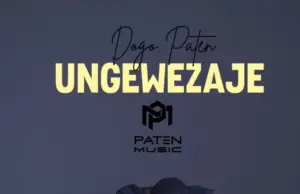 Video | Dogo Paten – Ungewezaje